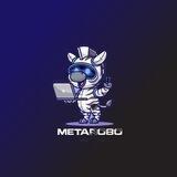 MetaRobo KYC AUDIT