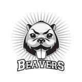 Beavers