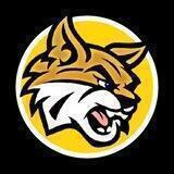 BOBCAT COIN BSC
