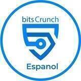 Español | bitsCrunch