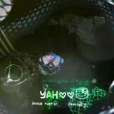 « yahoo !! fam1ly › 🐍