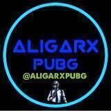 ♕︎ ALIGARX PUBG♔︎