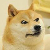 Angry Doge Portal