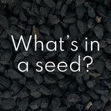 ❤️Rain Seed Nutrition @JuanRainHealth