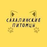 Сахалинские питомцы