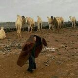 ﮼ححاَرث،المسّماري .