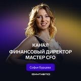 Финансовый директор Мастер CFO