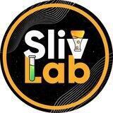 SlivLab 🧪 Крипто-лаборатория