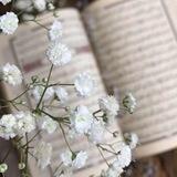 حلقة " نورُ القرآن " 🌿🧡.
