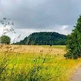 Lebensbaum Wanderung