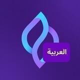 Seedify.fund - Arabic