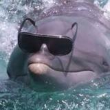 WHALE Joe007🦐 BTC Bear Official Channel Link