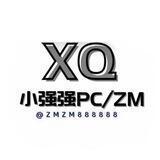 强强超强续租盘PC/ZM
