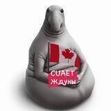 Ждуны CUAET Canada 🇨🇦