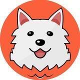 SPITZ INU | PORTAL