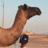 بُـوُح قَديِم 🦌