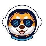 Dextool Inu Entry