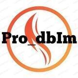 Pro_dblm_платформа