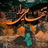 محافظ عاشقانه ناب
