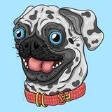 Pancho the Pug — Portal