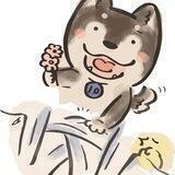 Daisy Inu