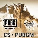 CS • PUBGM