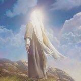 🕊ياصاحب الزمان🕊