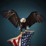 We The People