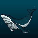 Trevor Whale Calls 🐋 Ape ASAP