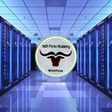 Forex base & Server