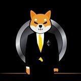 SHIBARIUM CEO