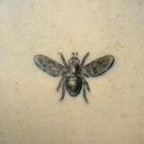 Flying Flies