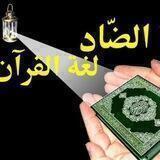 قناة الحسين محسن