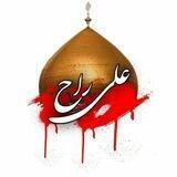 سفينهہ‌‏ آلحيآ‌‏هہ