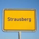 Strausberg wacht auf😊