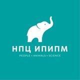 НПЦ ИПиПМ и Ольга Качалкина