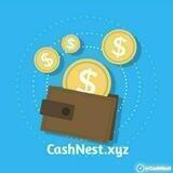 CashNest Alert
