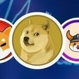 DogeFlokiShibaInu