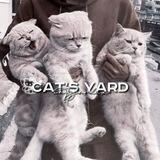 ✧*๑ᴄᴀᴛ's yᴀrd ๑✧*