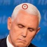 Mike Pence Fly