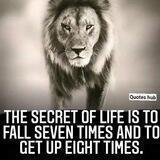 Quotes Hub
