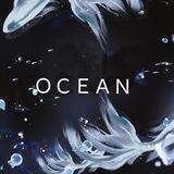 ‌ＯＣＥＡＮ [анкеты]