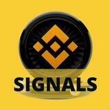 Top Traders Binance