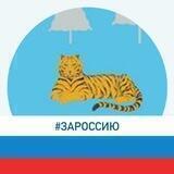 Администрация Тернейского муниципального округа
