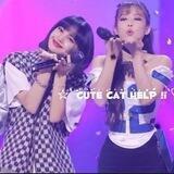 ` Cute cat help ¡! `♡