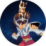 Seiya Inu ERC20 Token