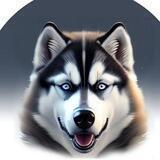 SHIBA HUSKY INU | PORTAL