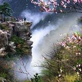 随缘租q远程短信 承包业务