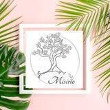 MISIRIO - Ganzheitlich 🍃 Energetisch ✨ Bewusst
