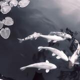 уᴛ᧐ᥰ᧘ᥱнныᥔ ʙ ᥴᥱρдцᥱ🌧
